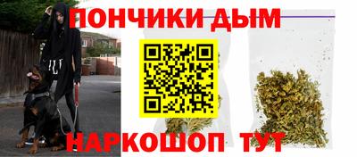 мдпв Кингисепп