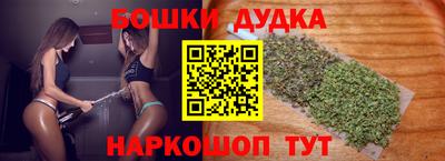 мдпв Кингисепп