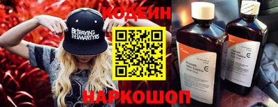 мдпв Кингисепп