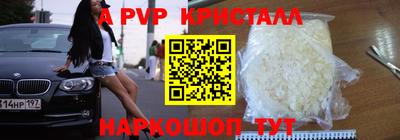 мдпв Кингисепп