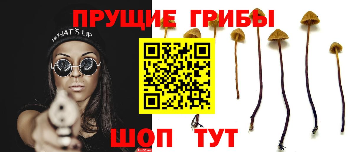 Галлюциногенные грибы Magic Shrooms Коряжма